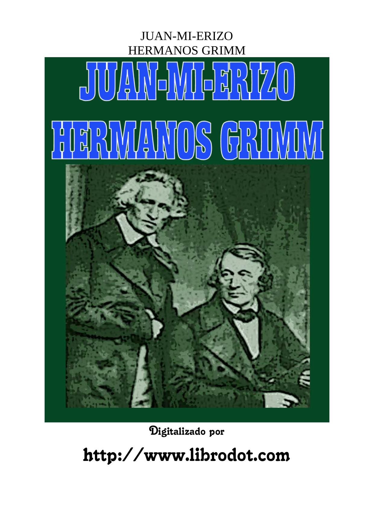 Microsoft Word - JUAN MI ERIZO.doc