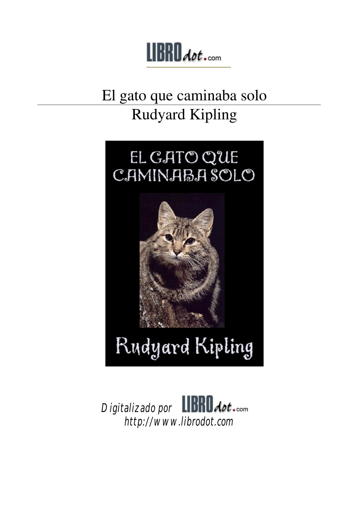 gato caminaba solo.doc