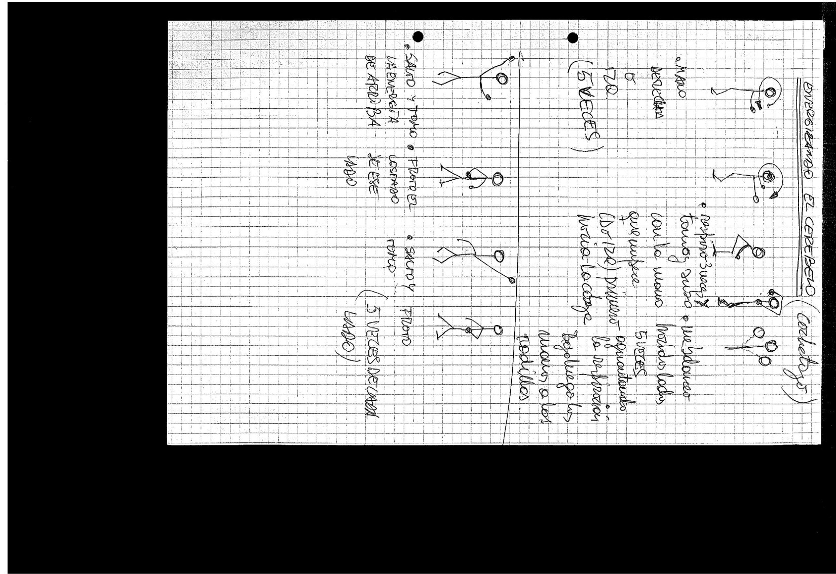 Energizado el cerebro