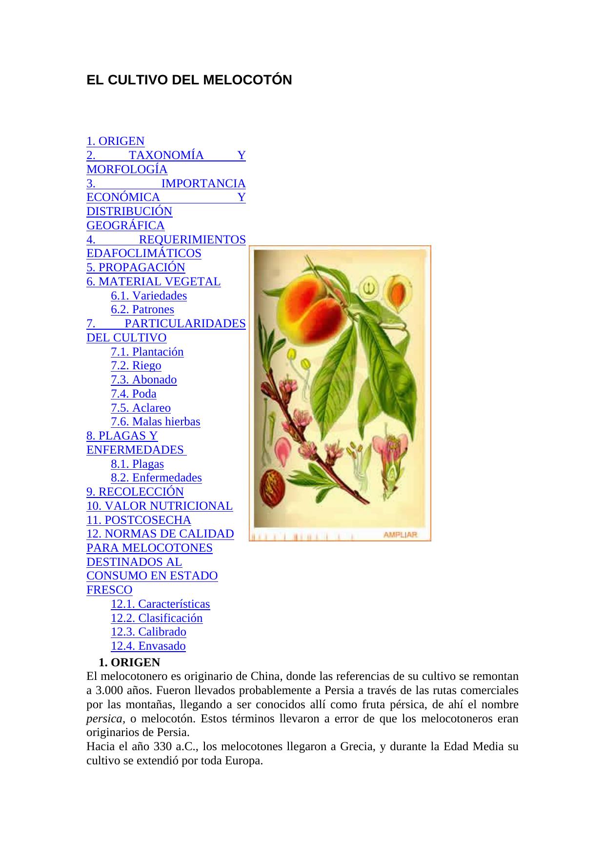 Microsoft Word - EL CULTIVO DEL MELOCOTÓN.doc