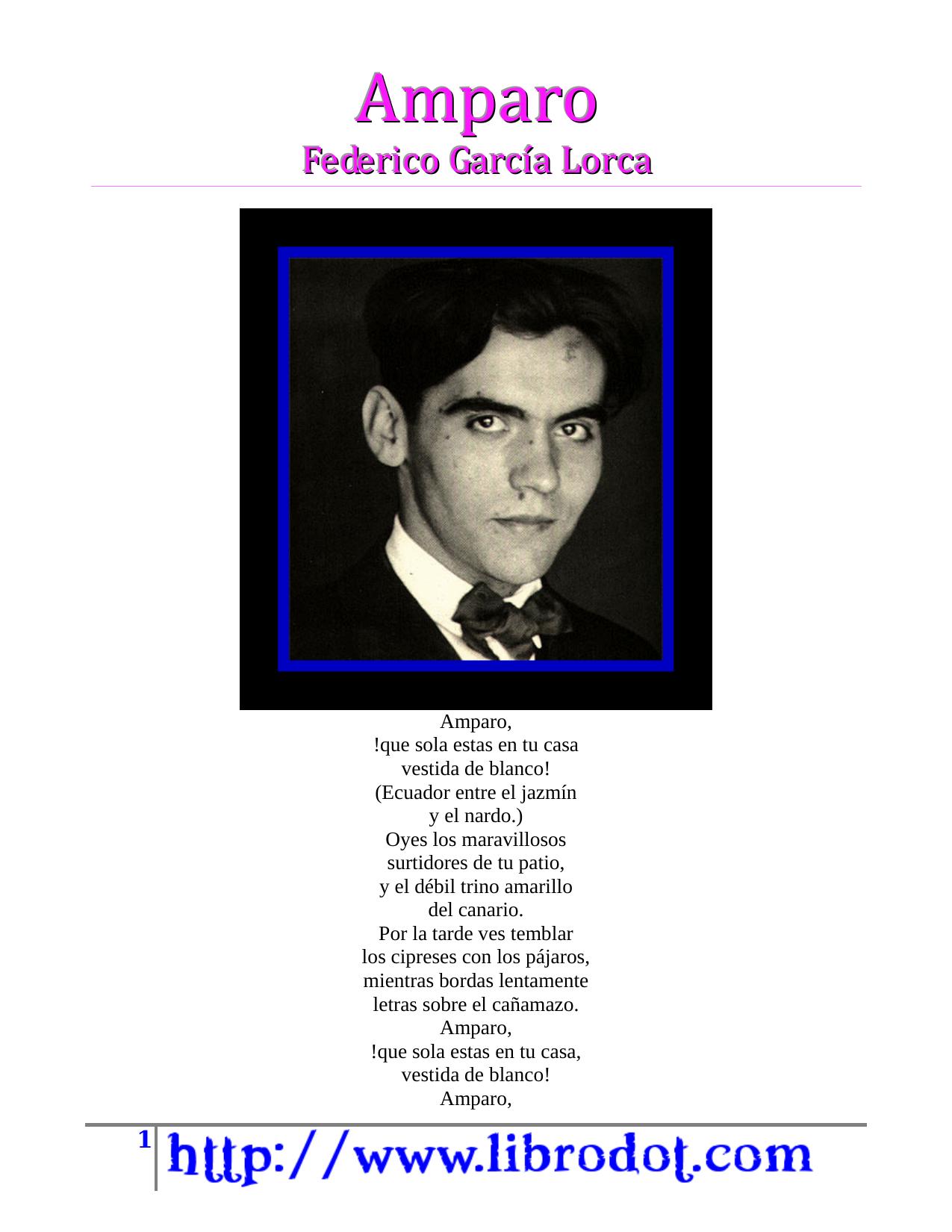 Microsoft Word - Amparo.doc