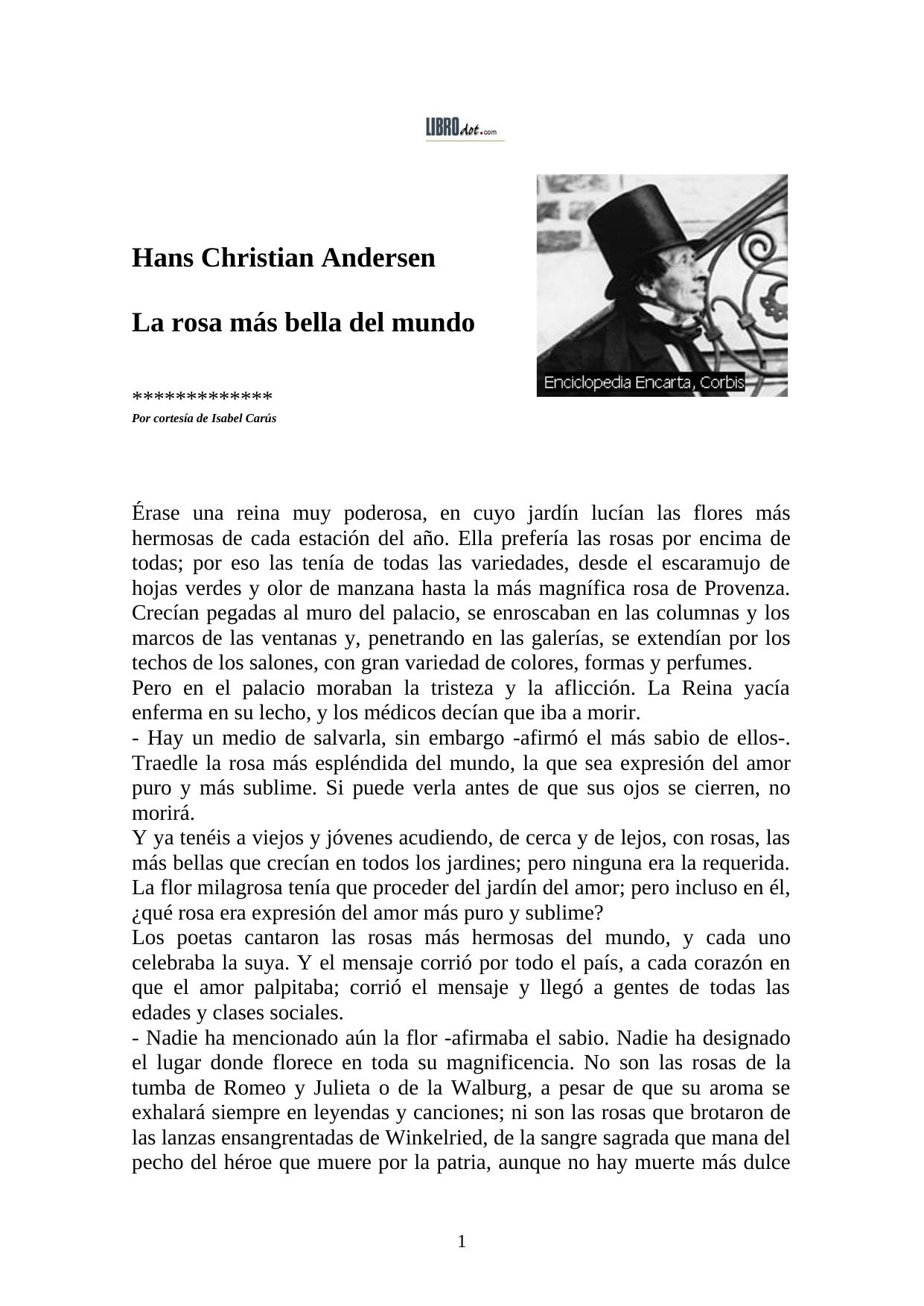 Rosa más bella del mundo La